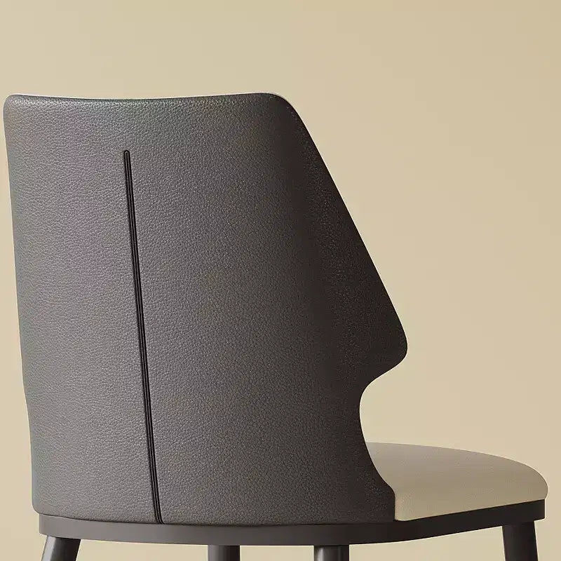 Lot de 2 chaises de salle à manger, chaises de dîner rembourrées, chaises sans accoudoirs, chaises d'appoint - Modernluxe